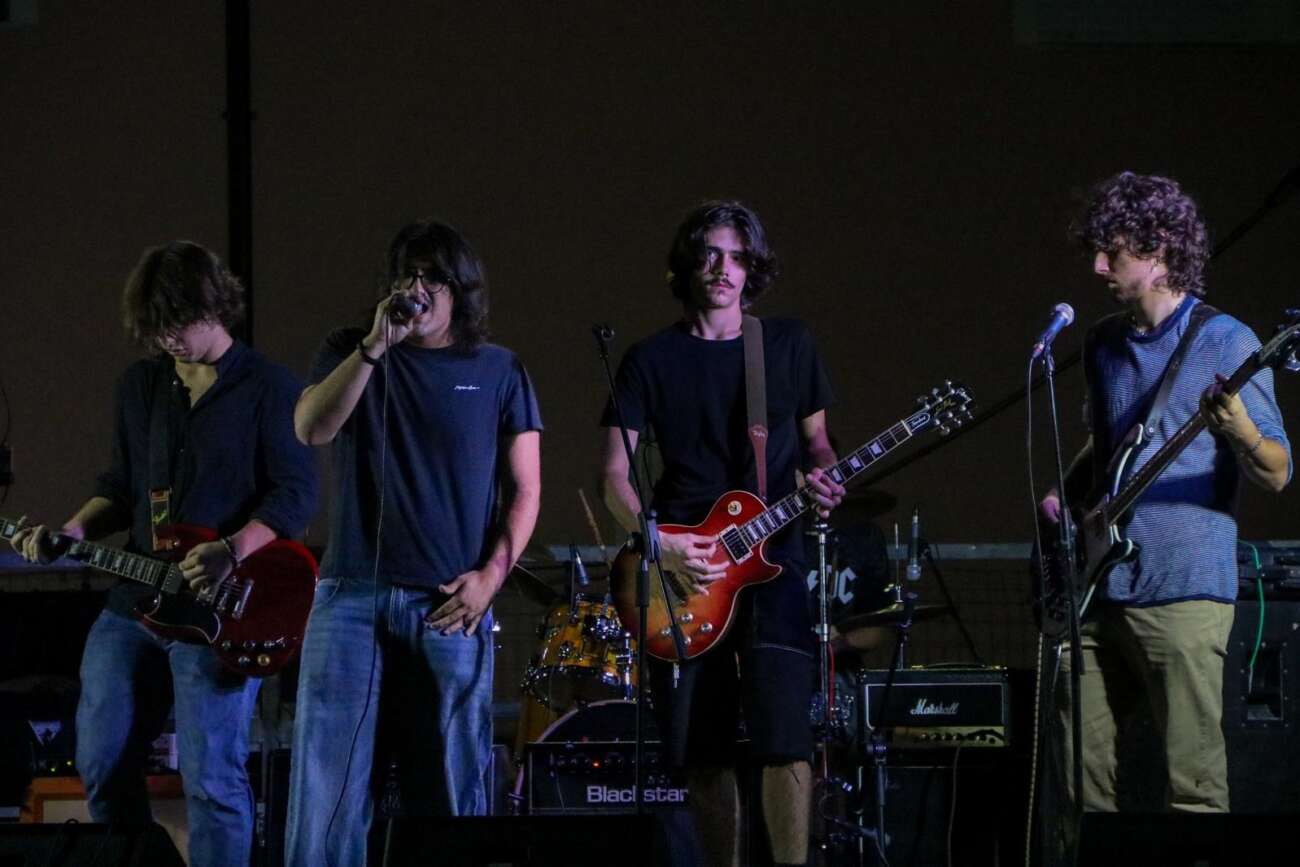 STRAY DOGS
